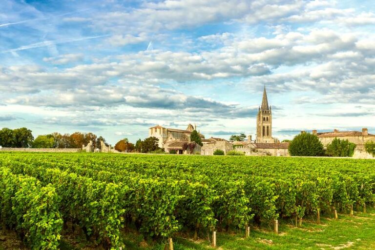 Vineyards in Saint Emilion, close to Bordeaux.