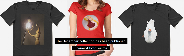 SceneryPhotoTeeMe